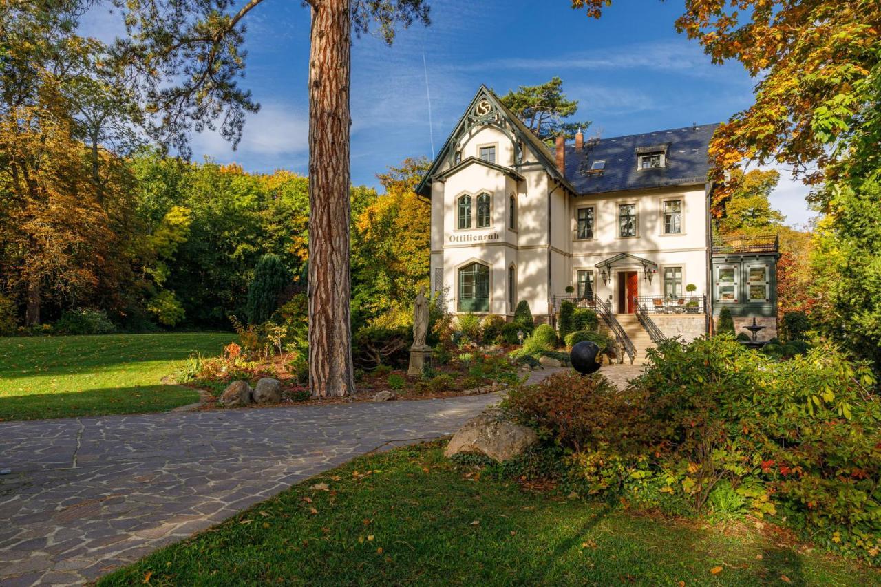Luxus Hotel Design Villa Ottilienruh Ilsenburg Im Harz Kültér fotó